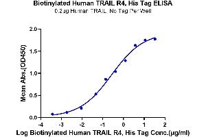 ELISA image for Tumor Necrosis Factor Receptor Superfamily, Member 10d, Decoy with Truncated Death Domain (TNFRSF10D) protein (His-Avi Tag,Biotin) (ABIN7275782)