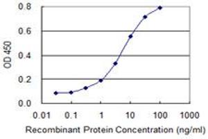 Detection limit for recombinant GST tagged ZNF281 is 0. (ZNF281 anticorps  (AA 787-893))