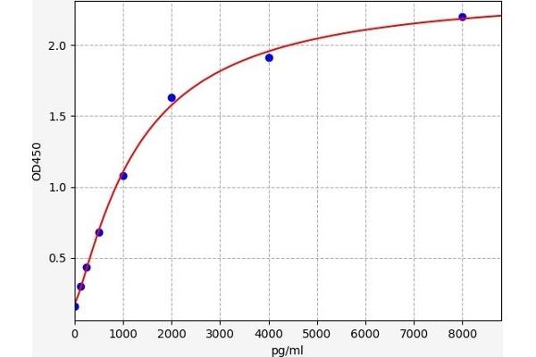 Laminin Kit ELISA