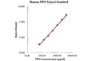 ELISA image for Thrombopoietin (THPO) ELISA Kit (ABIN3198615) (Thrombopoietin Kit ELISA)