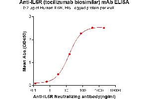 ELISA plate pre-coated by 2 μg/mL (100 μL/well) Human IL6R, His tagged protein ABIN6964085, ABIN7042425 and ABIN7042426 can bind Anti-IL6R Neutralizing antibody (ABIN7093060 and ABIN7272590) in a linear range of 0. (Recombinant IL-6R (Tocilizumab Biosimilar) anticorps)