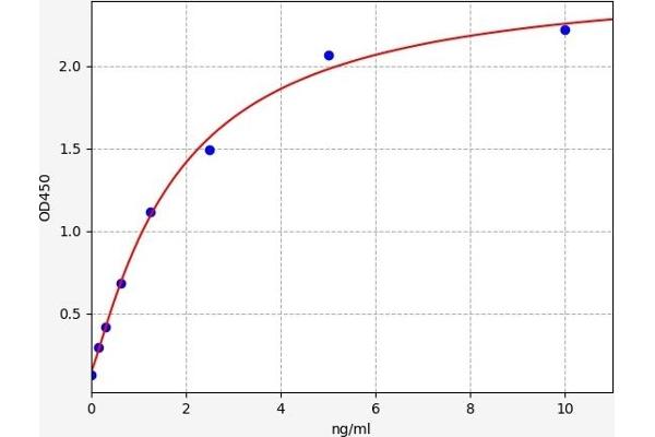 IQGAP1 Kit ELISA