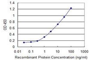 Detection limit for recombinant GST tagged SUPT16H is 0. (SUPT16H anticorps  (AA 608-715))