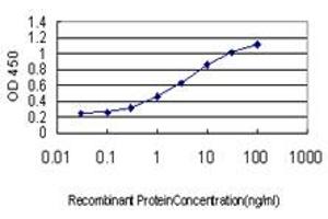 Detection limit for recombinant GST tagged LEP is approximately 0. (Leptin anticorps  (AA 22-167))