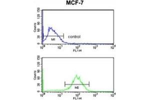 Flow cytometry analysis of MCF-7 cells using Destrin Antibody (bottom histogram) compared to a negative control cell (top histogram). (Destrin anticorps  (Middle Region))