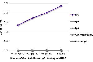 ELISA plate was coated with purified human IgG, IgM, and IgA, cynomolgus IgG, and rhesus IgG. (Chèvre anti-Humain IgG Anticorps - Preadsorbed)