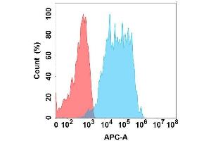 Flow cytometry analysis with Anti- on Expi293 cells transfected with human (Blue histogram) or Expi293 transfected with irrelevant protein (Red histogram). (GPA33 anticorps)