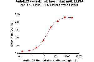 ELISA plate pre-coated by 2 μg/mL (100 μL/well) Human IL21 Protein, hFc Tag (ABIN6964397, ABIN7042851 and ABIN7042852) can bind Anti-IL21 Neutralizing antibody (ABIN7478002 and ABIN7490948) in a linear range of 2. (Recombinant IL21 (Avizakimab Biosimilar) anticorps)