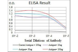 ELISA image for anti-Hexosaminidase A (HEXA) antibody (ABIN2970912) (Hexosaminidase A anticorps)
