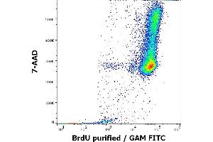 Flow cytometry multicolor intracellular staining pattern of BrdU incorporated K562 cellular suspension using anti-BrdU (Bu20a) purified antibody (concentration in sample 4 μg/mL, GAM FITC) and 7-AAD. (BrdU anticorps)