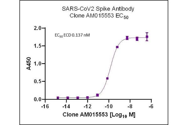 Recombinant SARS-CoV-2 Spike anticorps