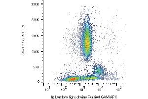 Flow cytometry analysis (surface staining) of human peripheral blood with anti-human lambda light chain (4C2) purified, GAM-APC. (Lambda-IgLC anticorps)