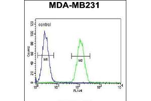 Flow cytometric analysis of MDA-MB231 cells (right histogram) compared to a negative control cell (left histogram). (Syntaxin 7 anticorps  (N-Term))