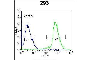 Flow cytometric analysis of 293 cells (right histogram) compared to a negative control cell (left histogram). (ARL2 anticorps  (C-Term))