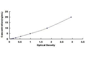 ELISA image for Signal Transducer and Activator of Transcription 3 (Acute-Phase Response Factor) (STAT3) ELISA Kit (ABIN1572544) (STAT3 Kit ELISA)