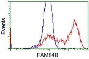 Flow Cytometry (FACS) image for anti-Family with Sequence Similarity 84, Member B (FAM84B) antibody (ABIN1498206) (FAM84B anticorps)