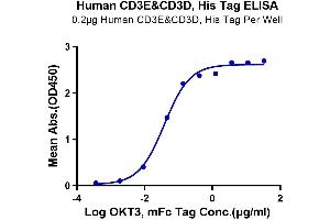 ELISA image for CD3D & CD3E protein (His tag) (ABIN7274136)