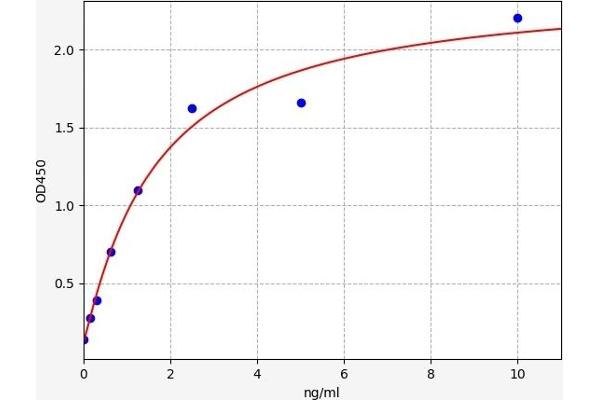 S100 Protein (S100) Kit ELISA