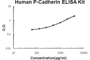 Human P-Cadherin Accusignal ELISA Kit Human P-Cadherin AccuSignal ELISA Kit standard curve. (P-Cadherin Kit ELISA)