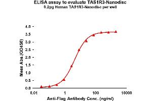Elisa plates were pre-coated with Flag Tag R3-Nanodisc (0. (TAS1R3 Protéine)