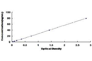 Typical Standard Curve (APOE Kit ELISA)