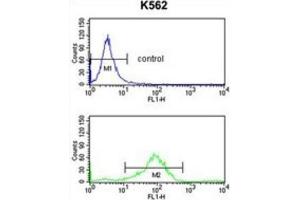 Flow Cytometry (FACS) image for anti-RAB7A, Member RAS Oncogene Family (RAB7A) antibody (ABIN3003858) (RAB7A anticorps)