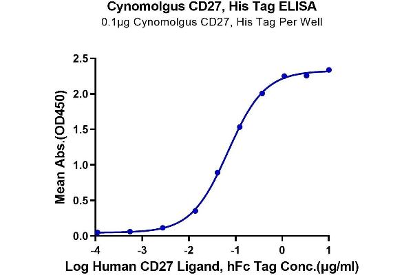 CD27 Protein (AA 21-192) (His tag)