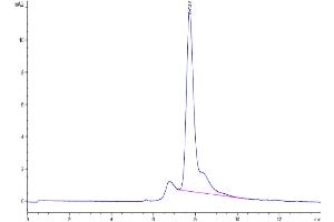 The purity of Biotinylated Mouse GARP&Latent TGF beta Complex is greater than 95 % as determined by SEC-HPLC. (GARP & Latent TGF beta 1 Complex (AA 18-628) protein (His-Avi Tag,Biotin))