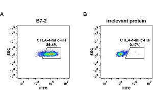 Flow Cytometry (FACS) image for Cytotoxic T-Lymphocyte-Associated Protein 4 (CTLA4) (AA 36-161) protein (mFc-His Tag) (ABIN6961090)