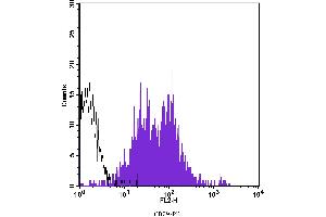 Flow Cytometry (FACS) image for anti-Integrin beta 1 (ITGB1) antibody (PE) (ABIN2144837) (ITGB1 anticorps  (PE))