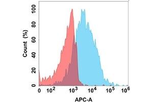 Flow cytometry analysis with Anti-F on Expi293 cells transfected with human F (Blue histogram) or Expi293 transfected with irrelevant protein (Red histogram). (FCRL5 anticorps)