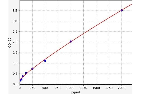 ENPP1 Kit ELISA