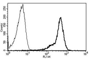 Flow Cytometry (FACS) image for anti-CD44 (CD44) antibody (FITC) (ABIN1106384) (CD44 anticorps  (FITC))