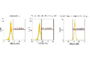 Flow Cytometry (FACS) image for anti-Granzyme B (GZMB) (AA 21-247) antibody (APC) (ABIN5564760) (GZMB anticorps  (AA 21-247) (APC))