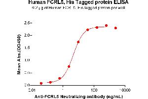 ELISA plate pre-coated by 2 μg/mL (100 μL/well) Human F Protein, His Tag (ABIN7092781, ABIN7272386 and ABIN7272387) can bind Anti-F Neutralizing antibody ABIN7477992 and ABIN7490924 in a linear range of 0. (FCRL5 Protein (AA 16-850) (His tag))