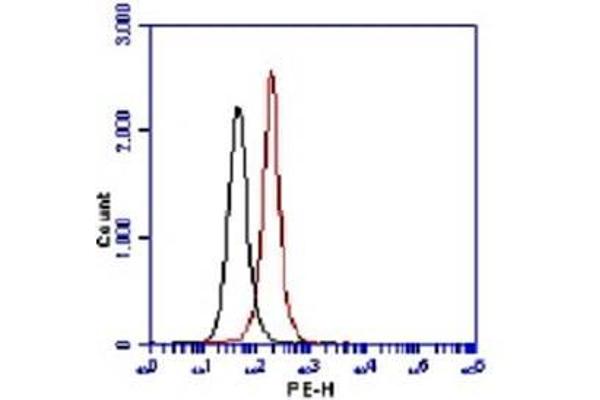 Lysine (K)-Specific Methyltransferase 2A (KMT2A) (AA 720-780), (N-Term) anticorps