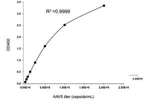 Typical standard curve (AAV5 Kit ELISA)