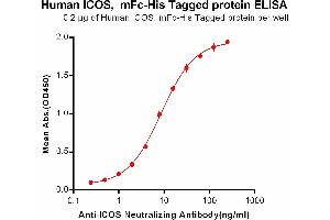 ELISA plate pre-coated by 2 μg/mL (100 μL/well) Human ICOS, mFc-His tagged protein (ABIN6961099, ABIN7042227 and ABIN7042228) can bind Anti-ICOS Neutralizing antibody )]in a linear range of 0. (ICOS Protein (AA 21-140) (mFc-His Tag))