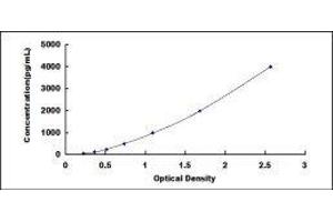 ELISA image for Fibroblast Growth Factor 9 (FGF-9) ELISA Kit (ABIN1118000) (FGF9 Kit ELISA)