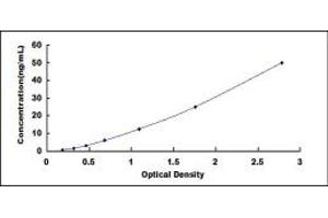 Typical standard curve (GRP78 Kit ELISA)