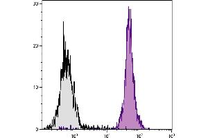 BALB/c mouse splenocytes were stained with Rat Anti-Mouse CD45-BIOT. (CD45 anticorps  (Biotin))