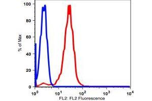 Flow Cytometry (FACS) image for anti-CD38 antibody (PE) (ABIN2704264) (CD38 anticorps  (PE))