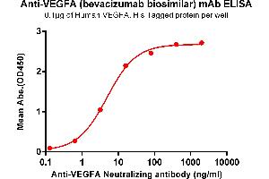 ELISA plate pre-coated by 1 μg/mL (100 μL/well) Human VEGFA , His tagged protein ABIN6964094, ABIN7042443 and ABIN7042444 can bind Anti-VEGFA Neutralizing antibody (ABIN7093077 and ABIN7272607) in a linear range of 0. (Recombinant VEGF (Bevacizumab Biosimilar) anticorps)