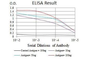 ELISA image for anti-Tubulin, alpha 8 (TUBA8) antibody (ABIN969446)