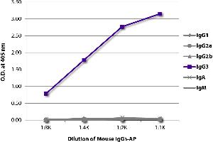 ELISA plate was coated with Goat Anti-Mouse IgG1, Human ads-UNLB was captured and quantified. (Souris IgG3 isotype control (Alkaline Phosphatase (AP)))