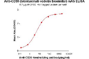 ELISA plate pre-coated by 2 μg/mL (100 μL/well) Human CD30, His tagged protein ABIN6961166, ABIN7042361 and ABIN7042362 can bind Anti-CD30 Neutralizing antibody in a linear range of 0. (Recombinant TNFRSF8 (Brentuximab Biosimilar) anticorps)