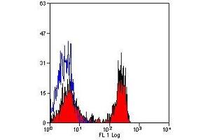 Flow Cytometry (FACS) image for anti-Signal-Regulatory Protein alpha (SIRPA) antibody (ABIN2478796) (SIRPA anticorps)