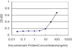 Detection limit for recombinant GST tagged BARHL1 is approximately 1ng/ml as a capture antibody. (BARHL1 anticorps  (AA 55-154))