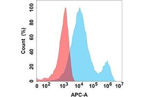 Flow cytometry analysis with Anti-LIGHT (DM170) on Expi293 cells transfected with human LIGHT (Blue histogram) or Expi293 transfected with irrelevant protein (Red histogram). (TNFSF14 anticorps  (AA 99-330))