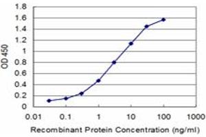 Detection limit for recombinant GST tagged MDH2 is approximately 0. (MDH2 anticorps  (AA 134-246))